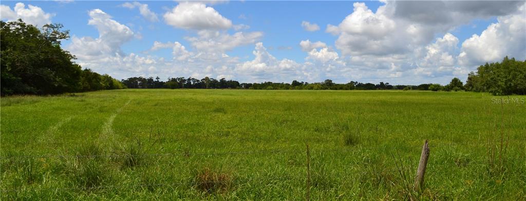 Hickory Tree Road Saint Cloud FL 34771